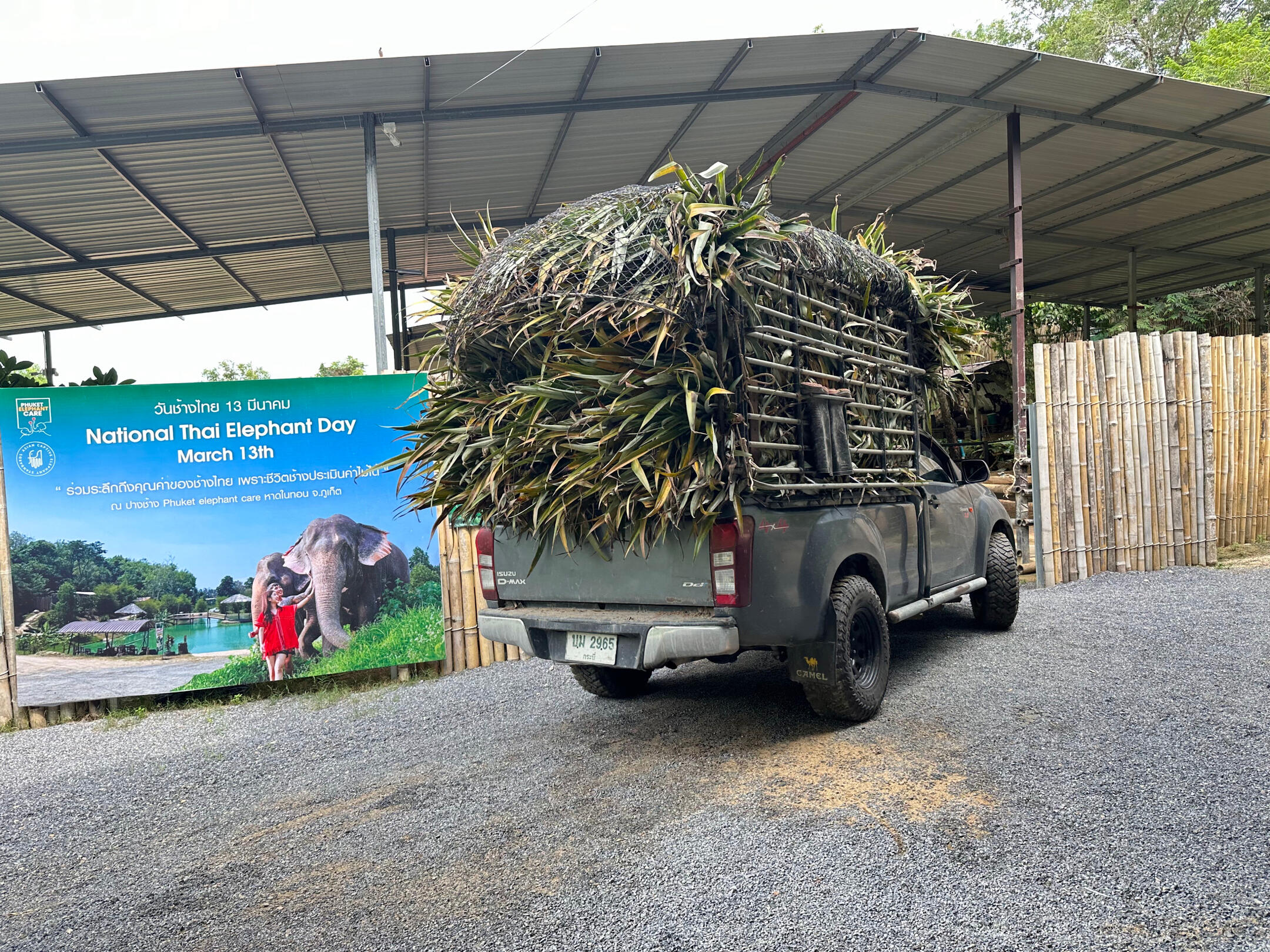 Provide elephants with a healthy diet. Provide elephants with a healthy diet.