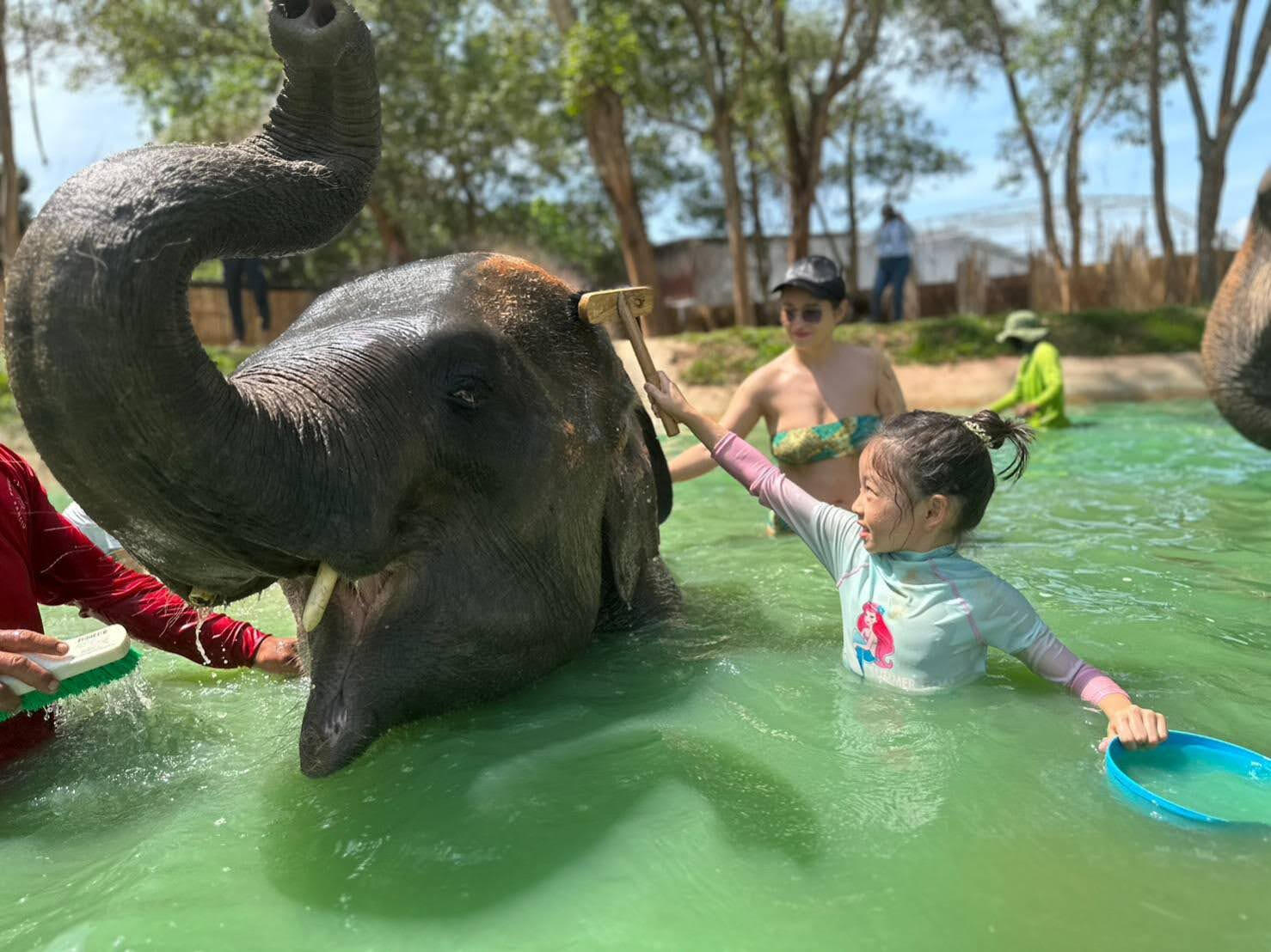 Phuket Elephant Care: Full Day Explorer at Naithon Sanctuary Phuket Elephant Care: Full Day Explorer at Naithon Sanctuary