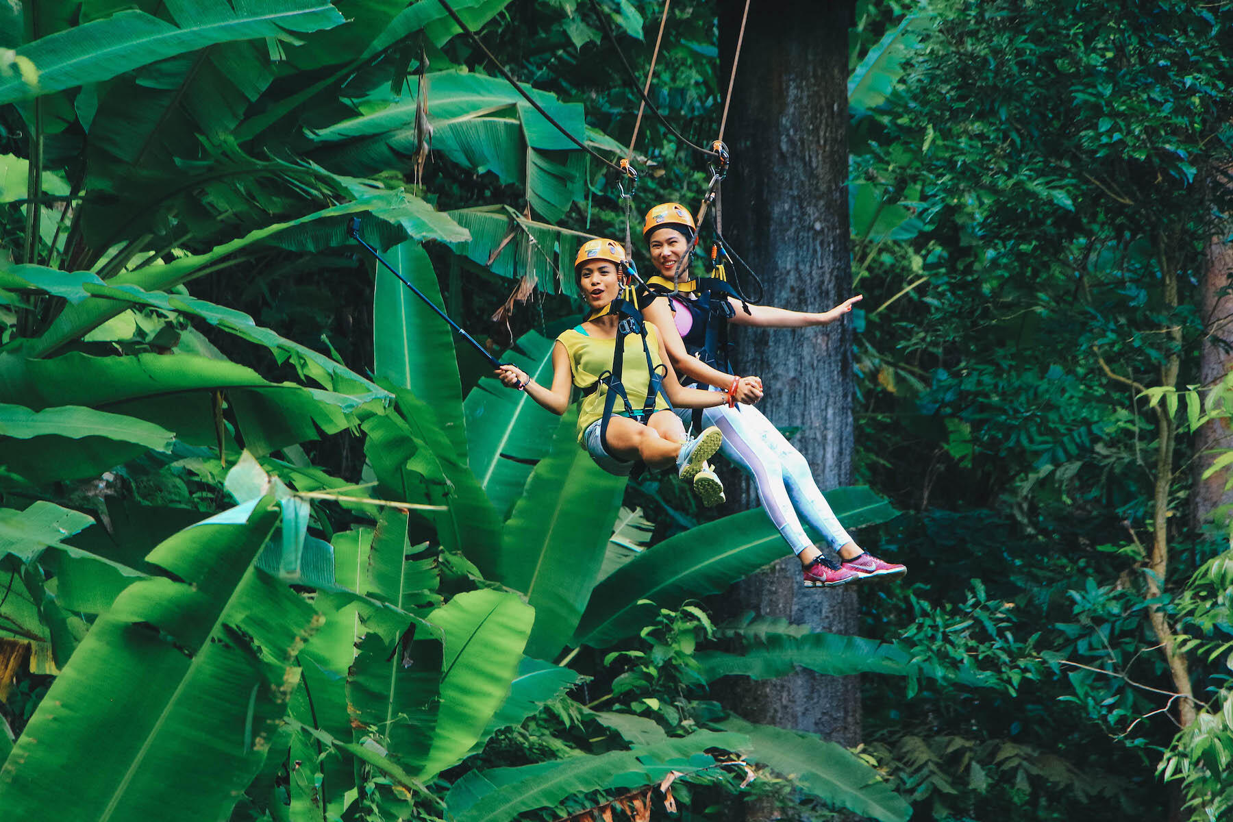Hanuman World Phuket: Eco-Adventure Amidst Nature Hanuman World Phuket: Eco-Adventure Amidst Nature